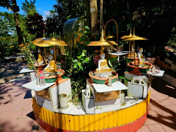 (天上山系)烘爐地土地公-2025微笑山線大縱走尋寶集章任務2863456