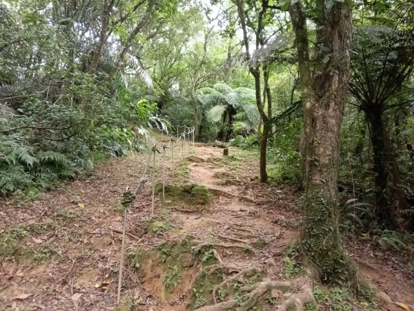 平溪區嶺腳越嶺古道+嶺腳步道+嶺腳石窟大瀑布O型2824086