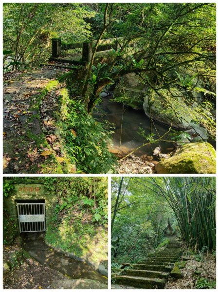 坪頂古圳-荷蘭古道-高頂北五指杏林山-石梯嶺擎天崗3026390