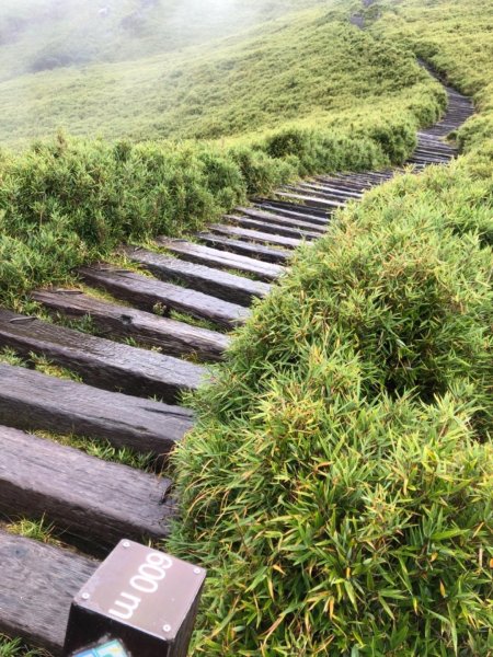 南投縣仁愛鄉 花蓮縣秀林鄉 合歡東峰672506