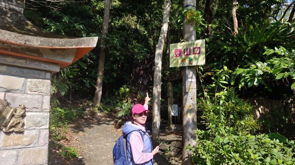 (姨婆趴趴走)第四十六集:新竹關西赤柯山及南峰、東西獅頭山、馬福山環狀縱走2685730