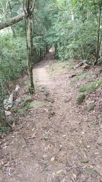 20251004 馬那邦山 - 珠湖 登山口2904766