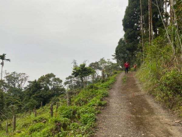 大凍山、九龍山937263