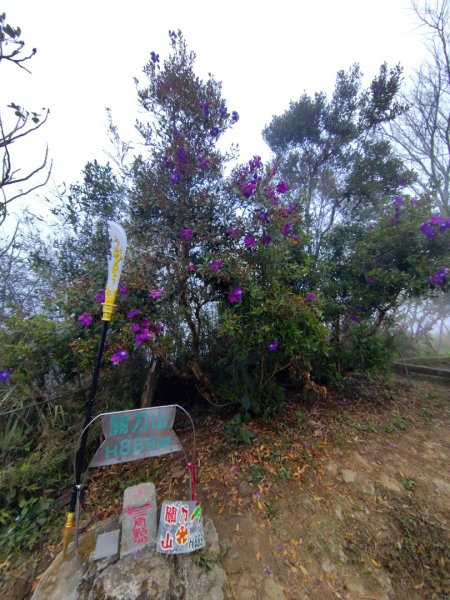 苗栗關刀山2975056