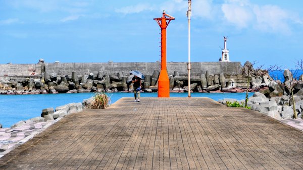 洄瀾東海岸3006714