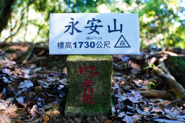 苗栗 泰安 永安山