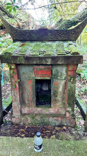 蛇來運轉之蛇年爬蛇山  蛇子形古道-三爪子坑山-蛇子崙山O型2783963