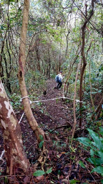 平溪大湖格隧道，石底觀音山、刀石崙、一坑古道O型1970862