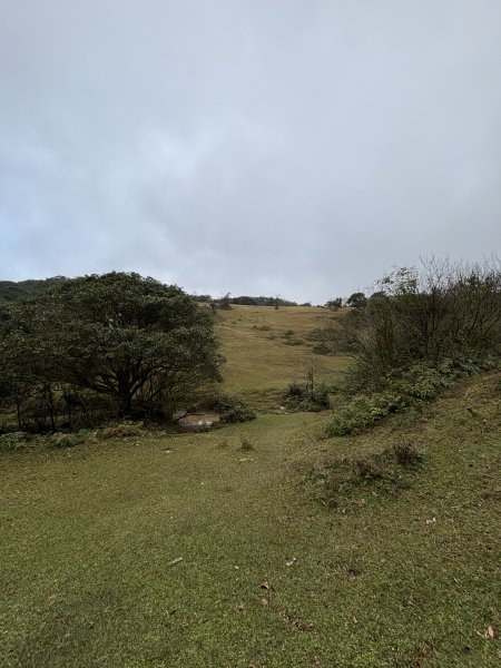 陽明山東西大縱走-東段2984523