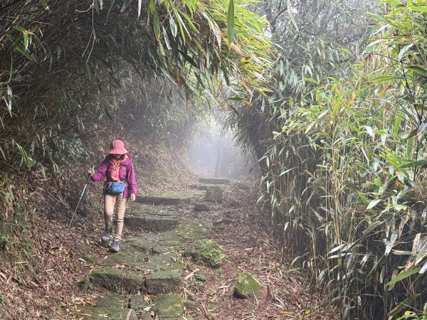 七星山 冷水坑上小油坑下環七星山人車分道O繞 202511082934907