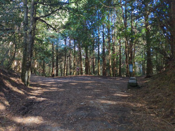 2025.12.06－北坑山步道&雪見遊憩區