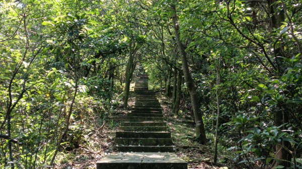瑞芳區琉榔路觀光步道-小粗坑古道(小粗坑山+粗坑口山)3053296