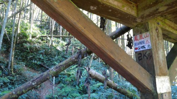 鳳凰山+南鳳凰山+溪頭縱走213503