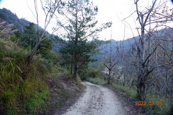 新竹 尖石 東泰野寒山1629556