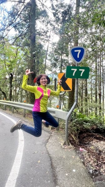 🌈228連假北橫賞櫻客製化四日遊Day2 FB：熊熊趴爬走🌈2724594