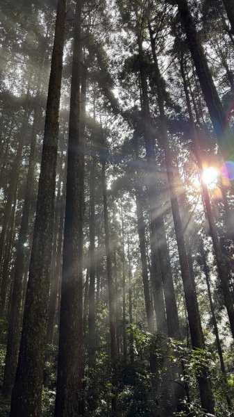 加里山 2025 12/282971711