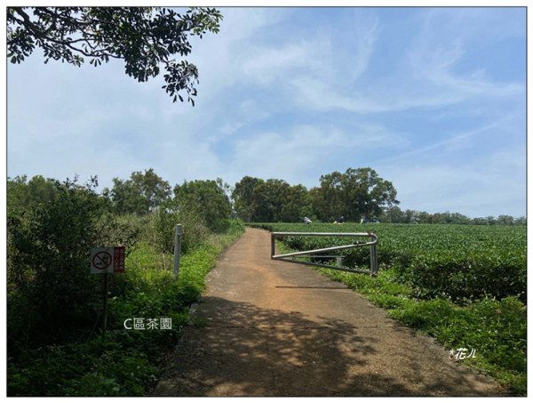 三義山、慈濟山、大坪山 連走桐花之旅3043854