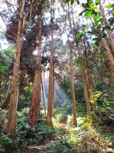 水雲三星之老二  鳥嘴山(上島山)1253726