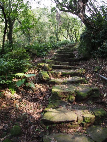 陽明山東西大縱走東段：風櫃嘴到擎天崗201584