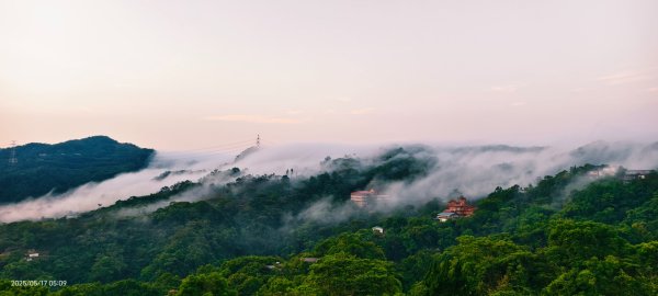 石碇趴趴走追雲趣 #二格山 #雲瀑 #藍腹鷴母鳥 #雲海流瀑 #霧虹 5/172788211
