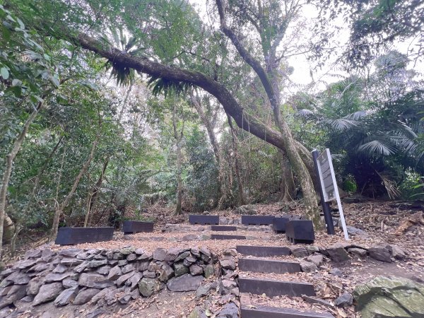 雪山坑環線步道3023320