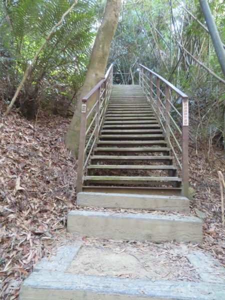 彰化桃源里森林步道+龍鳳谷森林步道2696105