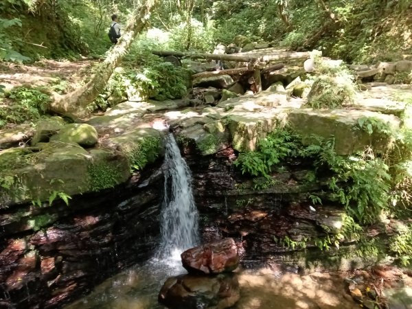 雙溪區北勢溪古道+畚箕湖古道+三層巷古道+北勢溪古道P字走2909478