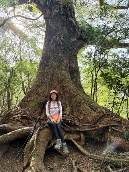 塔曼山 連走 拉拉山森林遊樂區 O繞 202510112923666