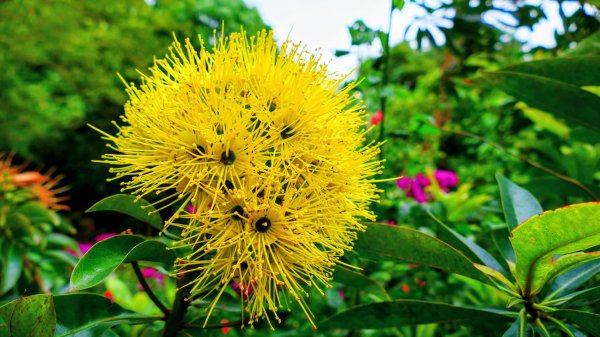 大崗山,盤龍峽谷2954511