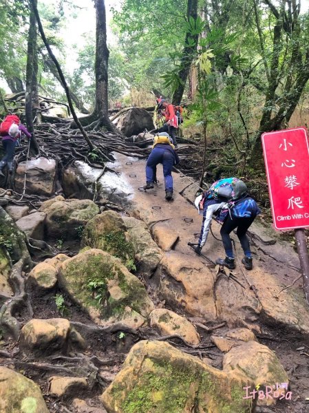 加里山  忘憂的故鄉2339948