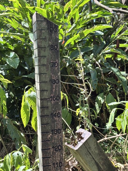 九五峰、南港山、拇指山、象山2875000