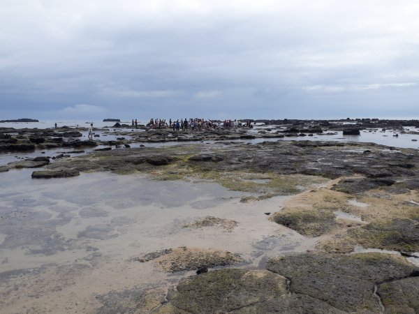 澎湖東海：南面掛嶼2179208