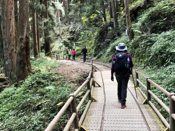 自忠上東水山連走特富野古道1244569