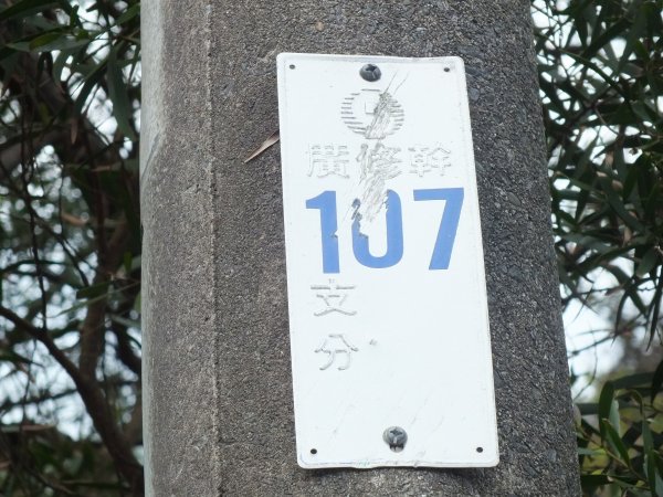 彩虹橋岩稜2733142