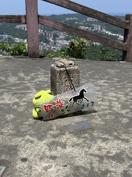 紅淡山3043546