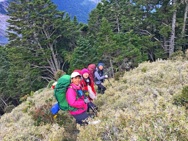 10年後重逢八通關山（八大秀未竟）467203