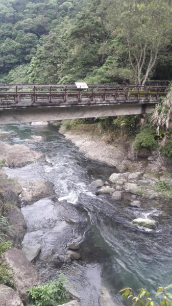 三峽滿月圓步道589223