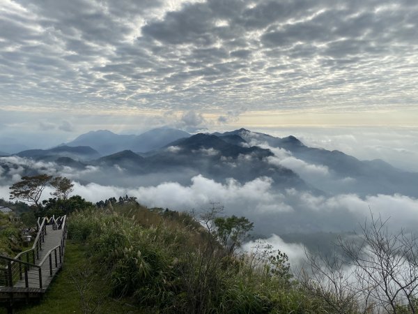 20250119二延平步道2716363