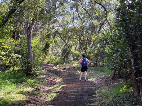 犁頭山、文山步道2835642