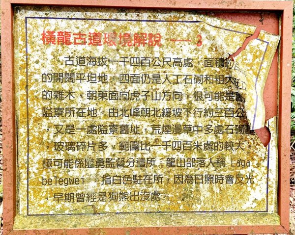 【中級山縱走】水雲三星，橫龍山，騰龍山，橫龍古道2742977