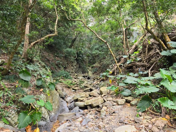 女仍山（小百岳）2752504