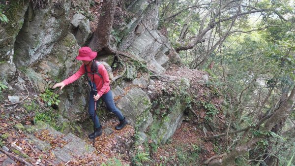 花蓮太魯閣綠水文山步道1791818