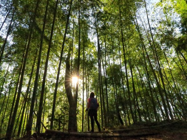 五元二角-東碧山莊O型環走封面