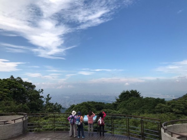 【臺北大縱走2】竹子湖與頂湖賞海芋繡球花981653