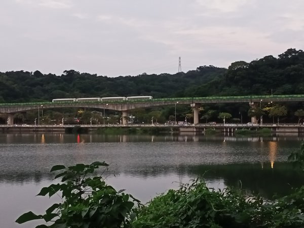 動靜皆宜的大湖公園【走路趣尋寶】1915555