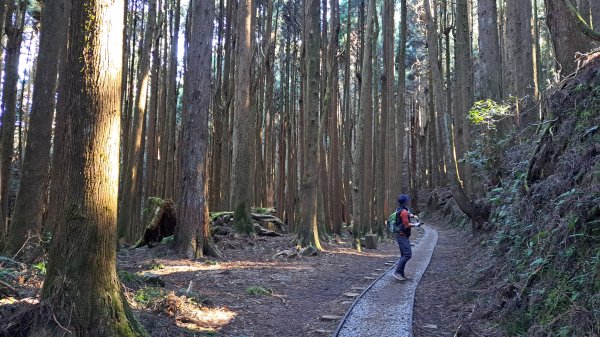 20241127特富野古道+梯子板山2659318