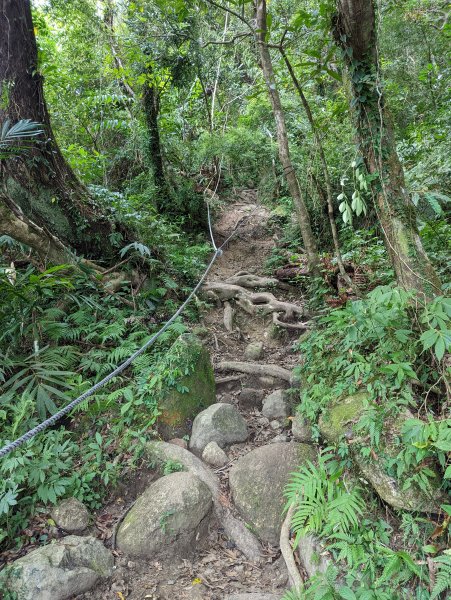 【百大必訪步道—台東】都蘭山步道(小百岳#93)1526218