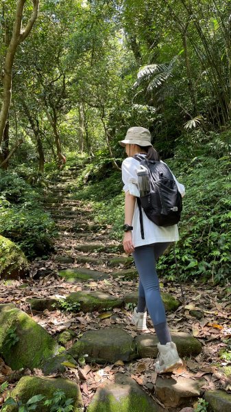 新北｜瑞芳．雙溪 淡蘭古道中路．暖東舊道（TK2-1~2-5 暖東峽谷步道、暖東舊道、五分山步道）2004172