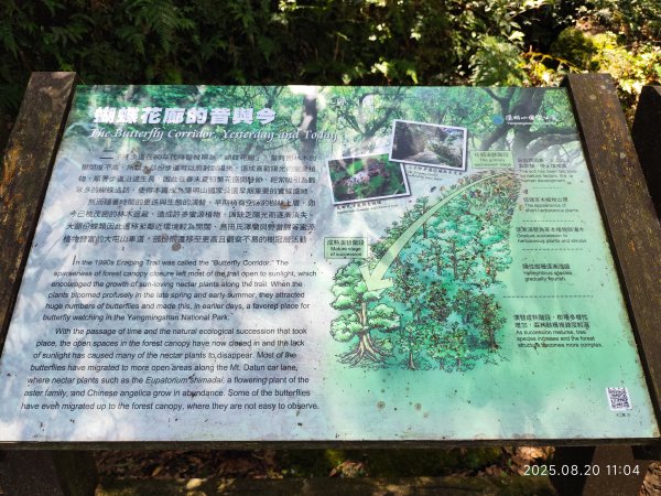 【臺北大縱走1+2】2-1 二子坪步道→面天山向天山步道→梓園(五感體驗場)→面天坪涼亭→大屯山西峰2866830