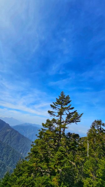 112.04.16 玉山前峰2123675